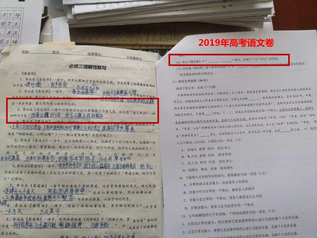 押中高考题、中考题？！z6com尊龙凯时都会森林学校学校“硬核”实力圈粉无数！